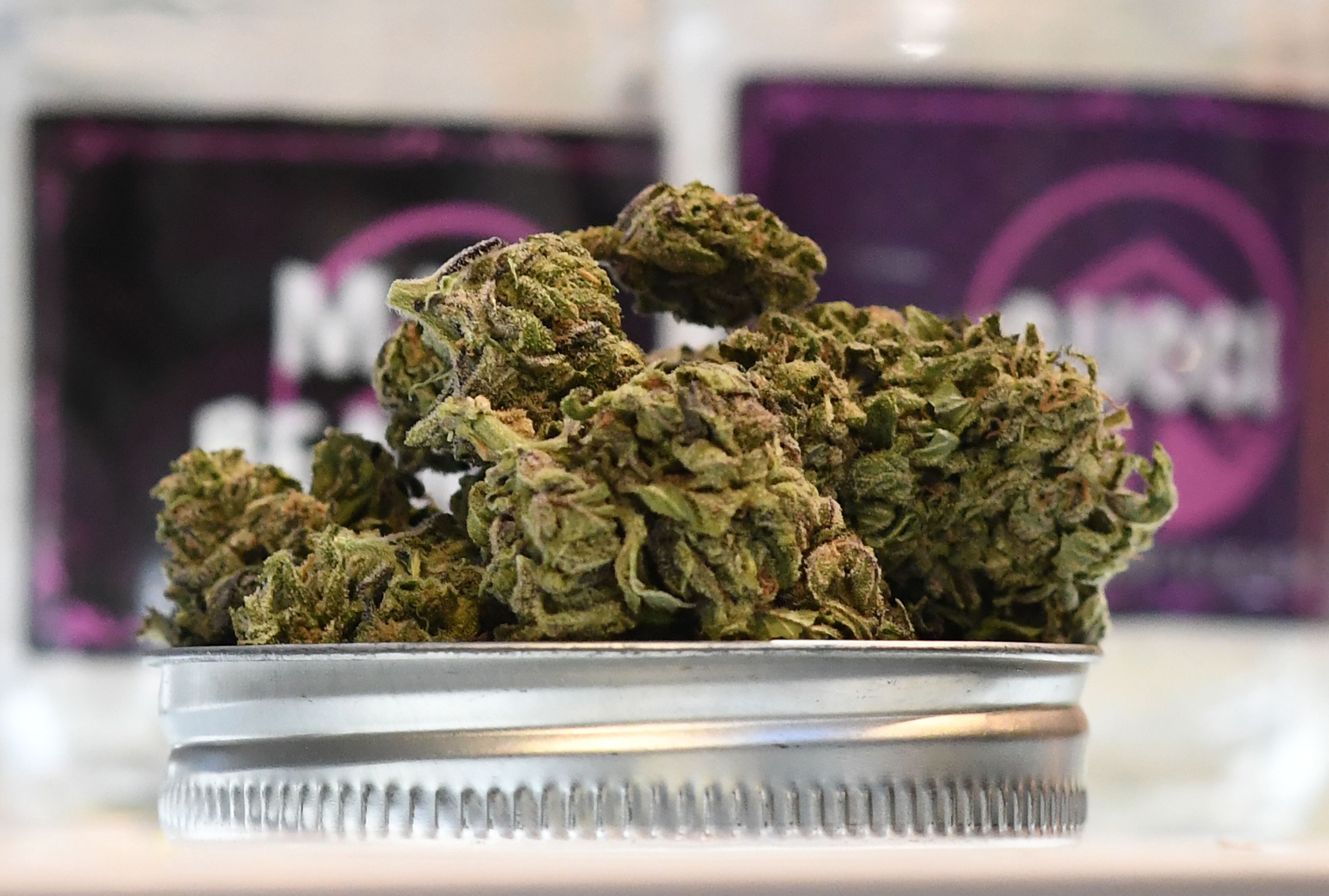 Pese a legalización, California sufre con cultivos irregulares de marihuana