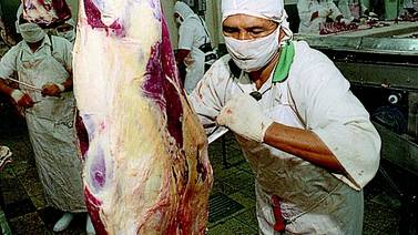 Productores de carne reparten por igual cuota   dada por  UE