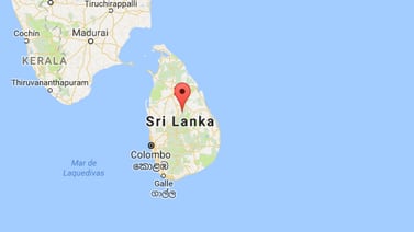Ataque de avispas en Sri Lanka manda 50 personas al hospital