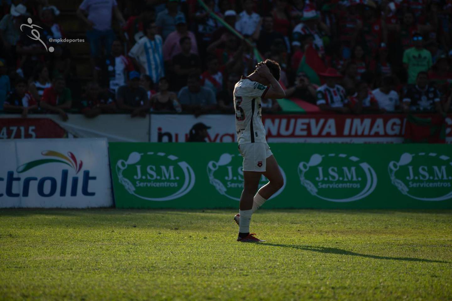 Esa imagen de Fernando Lesme refleja el sentir de Liga Deportiva Alajuelense.