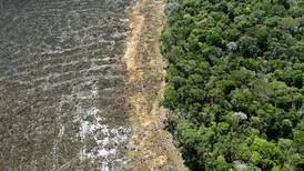 Deforestación récord en la Amazonía brasileña en abril