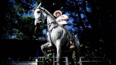 Varios de los caballos más destacados de Costa Rica se reunirán en la exhibición   <em>Estrellas equinas</em> 