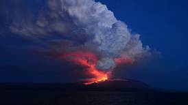 Volcán hace erupción en santuario de iguanas rosadas en islas Galápagos  