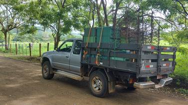 A bordo de un ‘pick-up’, abejas dan servicio de polinización a domicilio a productores
