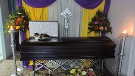 La conmovedora historia de Nucita: la gatita que demostró amor y fidelidad hasta el último minuto