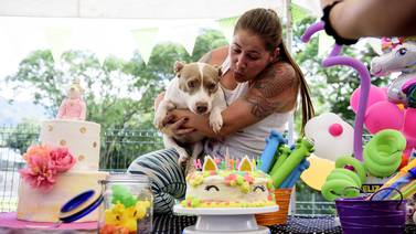 ¡Feliz cumpleaños, Firulais! Así son las fiestas para perros en Costa Rica
