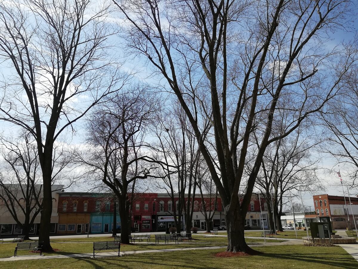 En busca de Edina, Missouri La Nación