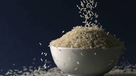 Resoluciones desmoronan decreto para obstaculizar ingreso de arroz