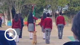 Perrito adoptado por escuela en México se roba los corazones y es parte de los honores a la bandera