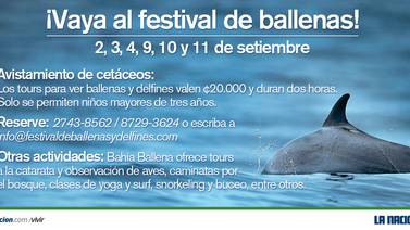 Festival para ver ballenas empieza este fin de semana