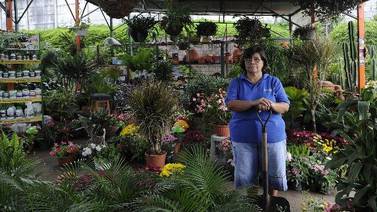 Viveros pasan apuros por pago de tributo sobre plantas