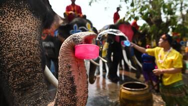 Tailandia comienza la fiesta del agua con elefantes regadores