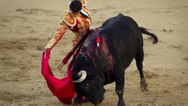 España debate consagrar corridas de toros como herencia cultural