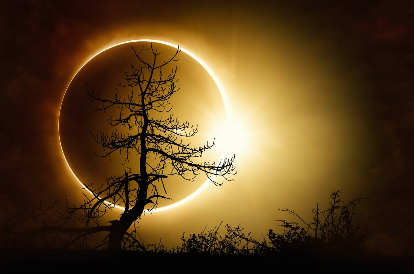 Eclipse anular solar