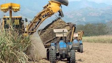 Grandes y pequeñas empresas en Costa Rica cambian búnker por biomasa para aumentar rentabilidad