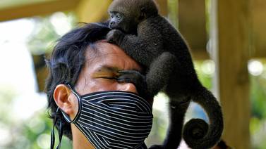 La historia del indígena que protege a los monos huérfanos por la cacería en la selva del Amazonas