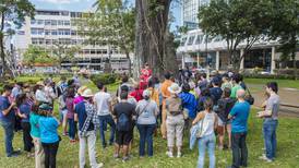80 personas disfrutaron de ‘tour’ de árboles en San José 