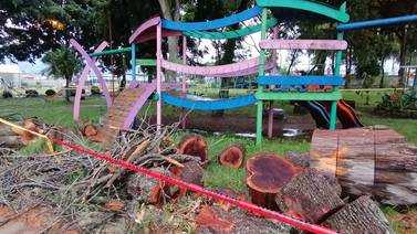 Municipalidad corta árboles en parque donde murió niño en Cartago