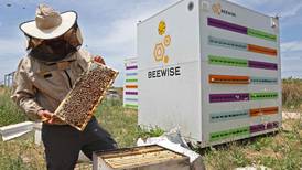 Colmenas robotizadas en Israel ayudan a preservar a las abejas
