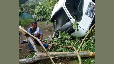 Siete personas graves al caer vehículos en guindos en Guanacaste y León Cortés